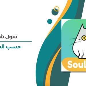 soul chat حسب الطلب